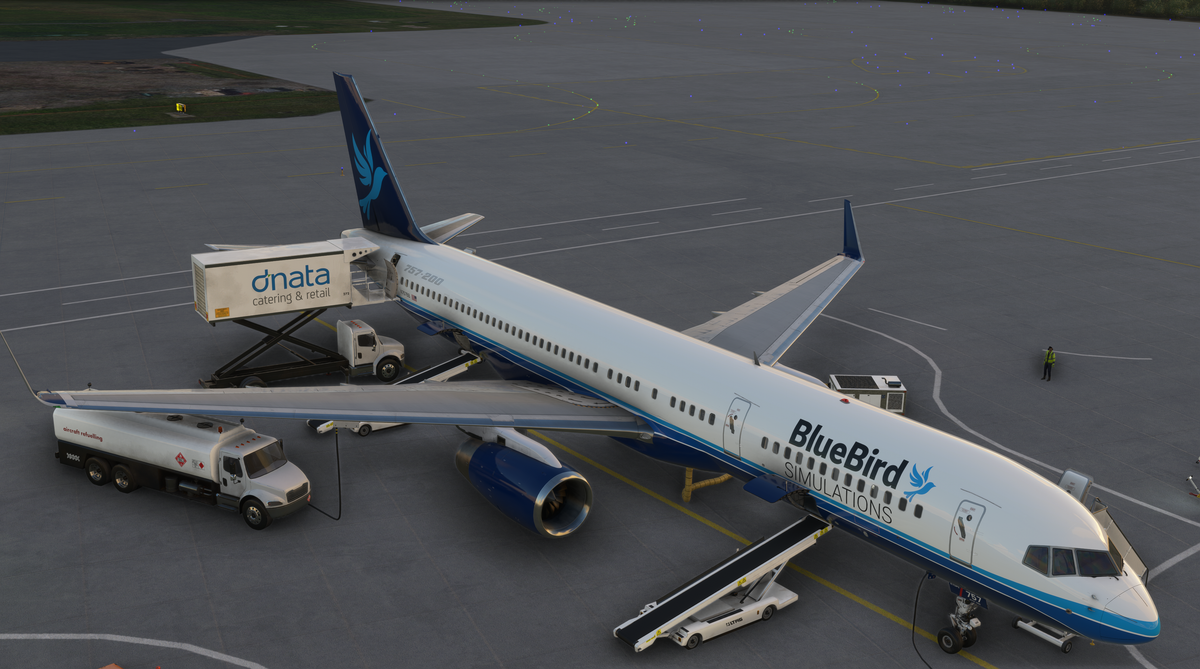 BlueBird Simulations 757 Passenger for MSFS 2020 & 2024